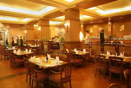The Suryaa New Delhi - 22