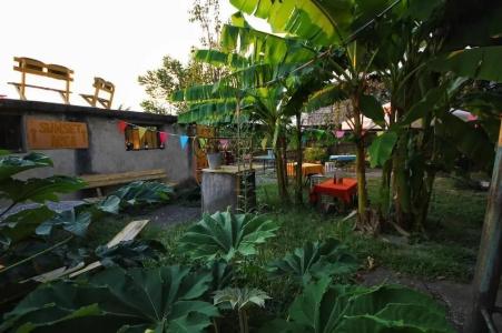 Dingo Backpackers Hostel - 25