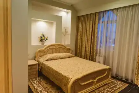 Parfenon Mini-hotel - 78