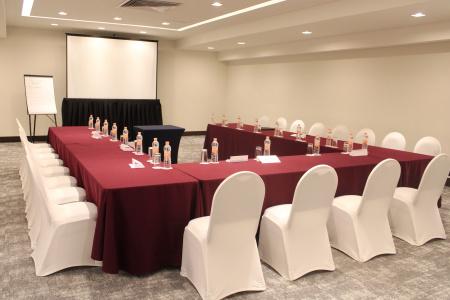 Holiday Inn Mexico Dali Airport by IHG - 30