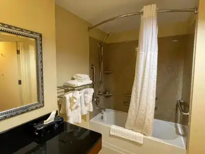 Comfort Suites Fredericksburg North - 93