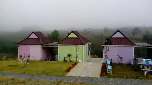 Lovely Farm - 29