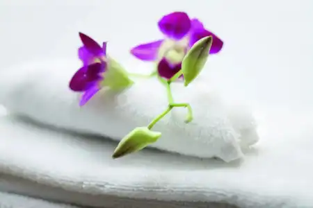 Mövenpick Suriwongse Chiang Mai - 52