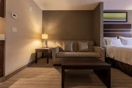 Holiday Inn Express Golden-Kicking Horse by IHG - 79