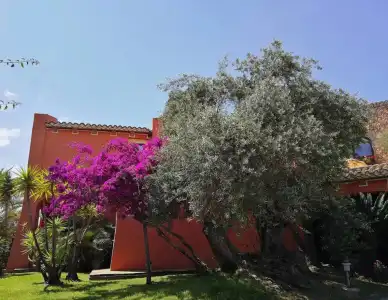 Il Vecchio Mulino - 13
