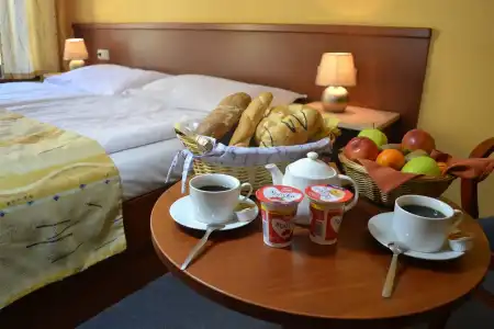 ApartAustria Suites - 9