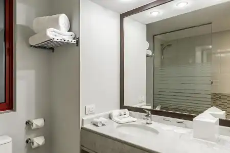 Four Points by Sheraton Santiago - 53