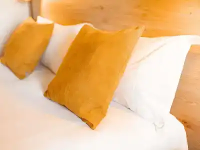 Ibis Clermont Ferrand A71 A75 La Meridienne - 41