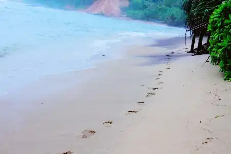 We Are Surfers - 9