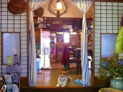 Otarunai Backpackers' Hostel MorinoKi - 17