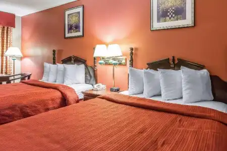 Quality Inn & Suites Macon North - 23
