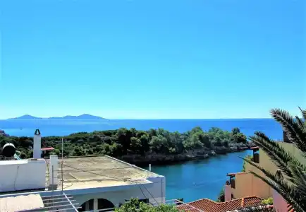 Gorgona - 27
