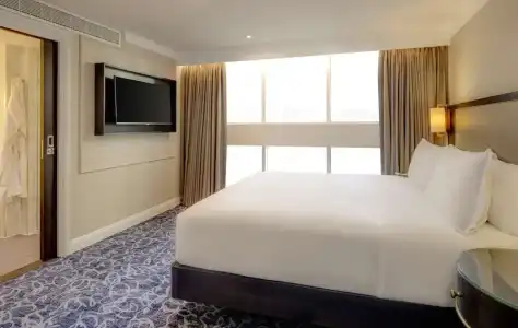 Hilton London Euston - 82