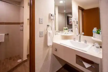 Guadalajara Plaza Expo Business Class - 48