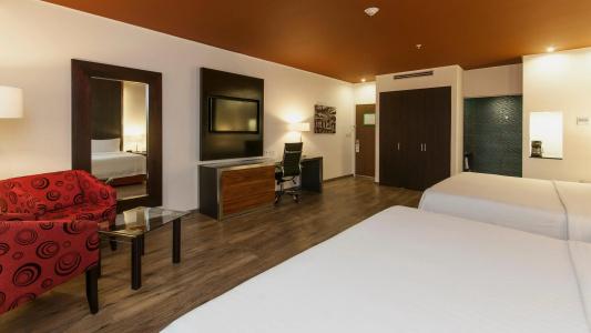 Holiday Inn Zona Centro by IHG - 6