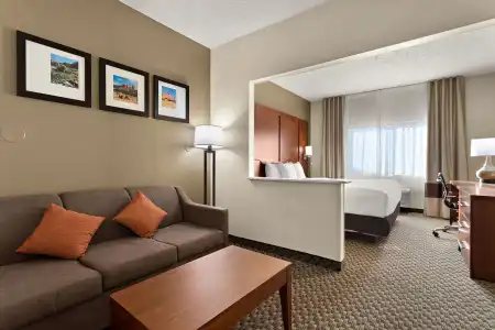 Comfort Suites University Las Cruces - 64