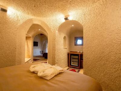 Tulip Cave Suites - 147