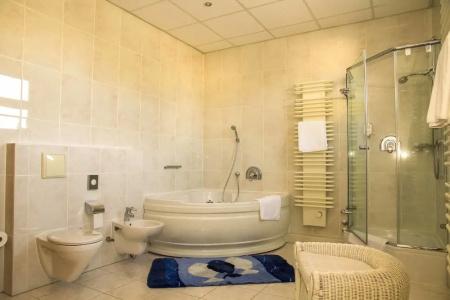 Falk Seehotel - 10