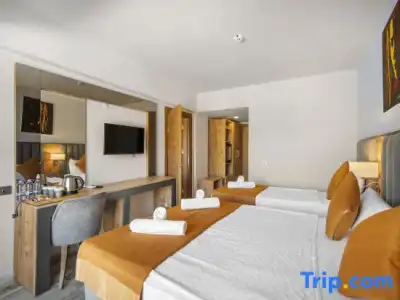 Dalya Resort Aqua & Spa - 119