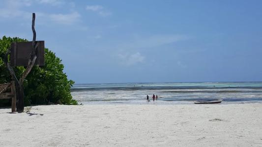 Family Beach Bungalows - 11