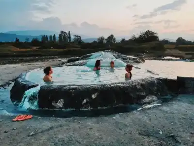 Dingo Backpackers Hostel - 17