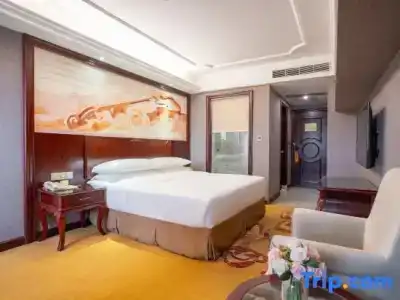 Vienna International Tong De Wei Branch - 16