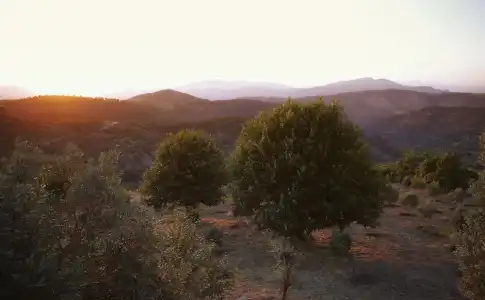 Güllü Konakları - 173