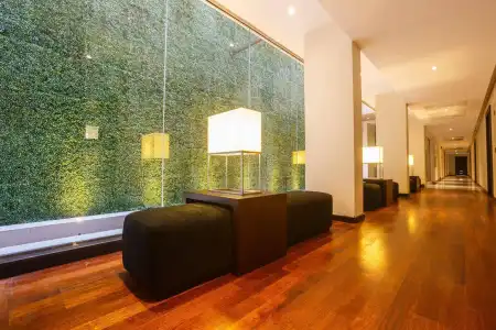 Renuka City - 13
