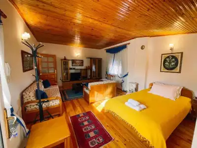 Diana Guesthouse - 5