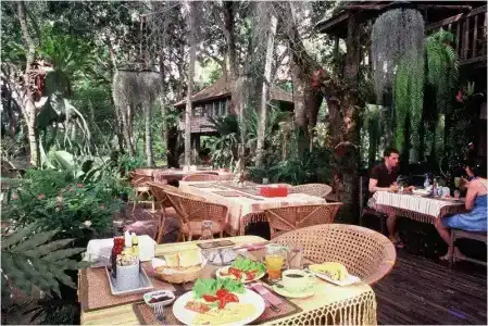 Fern Paradise - 12