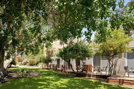 Ein Gedi Kibbutz - 41
