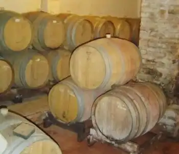 Fattoria San Donato - 2
