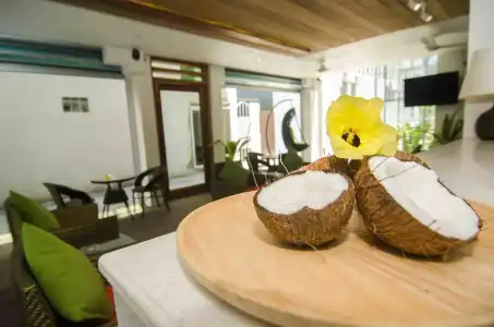 Coconut Tree Hulhuvilla Beach - 24