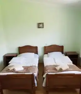 Tsitsia and Stepan Guest House - 1