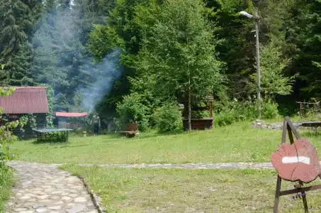 Zarinok - 5