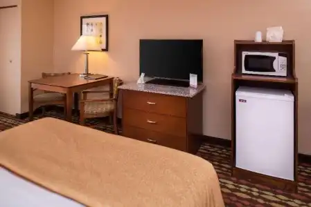 Best Western Ambassador Inn & Suites - 67