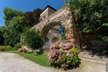 Massimago Wine Tower - 3
