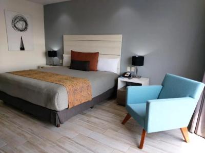 Real Inn Perinorte - 47