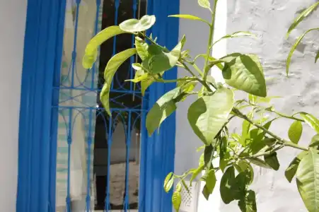 La Chambre Verte - 36