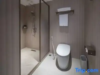 Hanting Ho Chi Minh City Downtown (汉庭国际胡志明市中心酒店) - 174