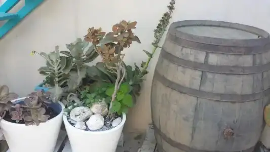 Masseria Villa Marchesi - 274
