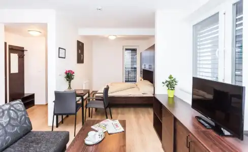 Barok and Apartments - 61