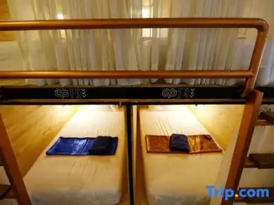 Sleep Owl Hostel - 56