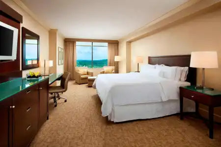 The Westin Bellevue - 54