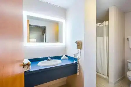 Quality Suites Lansing West - 44
