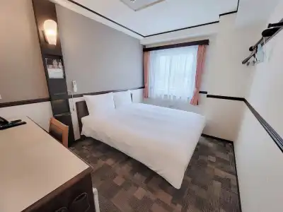 Toyoko Inn Hon Atsugi Station Minami - 58