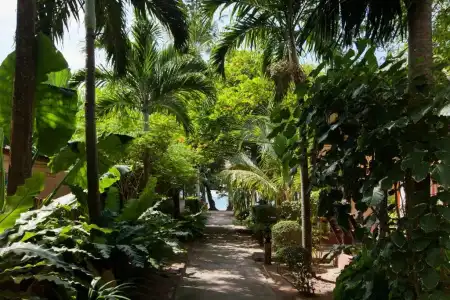 Lanta Riviera Resort (SHA Extra Plus) - 85