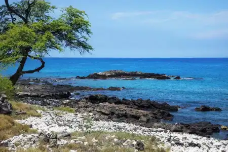Mauna Kea Beach, Autograph Collection - 128