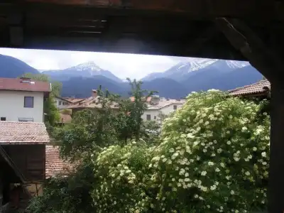 Todeva House - 28