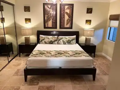 Come to Maui- Beautiful 2BD/3BA OceanView Kapalua Ridge Villa - 4
